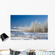Frost-Covered Trees In Snowy Field Wall Mural