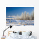 Frost-Covered Trees In Snowy Field Wall Mural