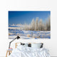Frost-Covered Trees In Snowy Field Wall Mural