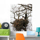 Eagle in Nest Wall Mural