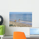Amstaffs Playing Beach Wall Mural