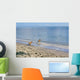 Amstaffs Playing Beach Wall Mural