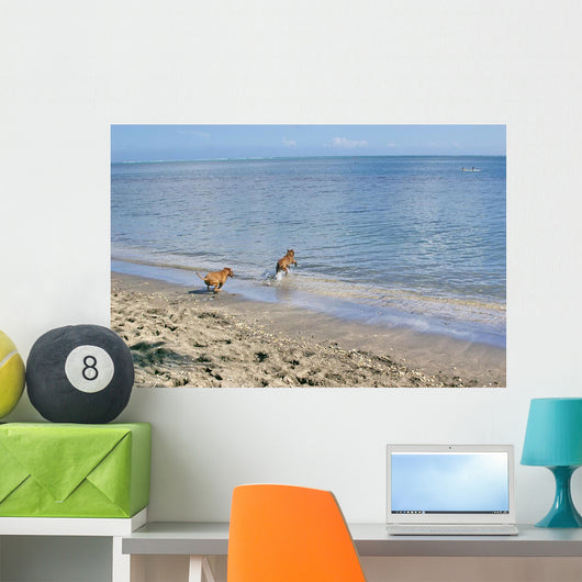 Amstaffs Playing Beach Wall Mural