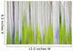 Aspen Tree Blurry Abstract Wall Mural