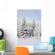 Trees Covered With Snow And Frost Wall Mural