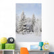 Trees Covered With Snow And Frost Wall Mural