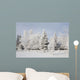 Trees Covered With Snow And Frost Wall Mural