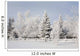 Trees Covered With Snow And Frost Wall Mural