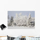 Trees Covered With Snow And Frost Wall Mural