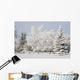 Trees Covered With Snow And Frost Wall Mural