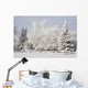 Trees Covered With Snow And Frost Wall Mural
