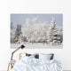 Trees Covered With Snow And Frost Wall Mural