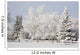 Trees Covered With Snow And Frost Wall Mural