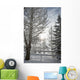 Trees Covered With Snow And Frost Wall Mural