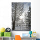 Trees Covered With Snow And Frost Wall Mural