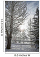 Trees Covered With Snow And Frost Wall Mural
