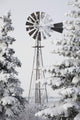 Old Windmill And Trees Covered With Snow And Frost Wall Mural