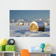 Snow-Covered Hay Bales Wall Mural