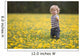 18-Month-Old Boy In Dandelion Field Wall Mural