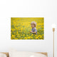 18-Month-Old Boy In Dandelion Field Wall Mural