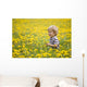 18-Month-Old Boy In Dandelion Field Wall Mural