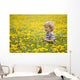 18-Month-Old Boy In Dandelion Field Wall Mural