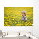 18-Month-Old Boy In Dandelion Field Wall Mural