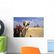 Close-Up On A Camel Looking At The Camera With Pyramids Wall Mural
