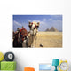 Close-Up On A Camel Looking At The Camera With Pyramids Wall Mural