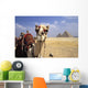 Close-Up On A Camel Looking At The Camera With Pyramids Wall Mural