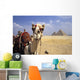 Close-Up On A Camel Looking At The Camera With Pyramids Wall Mural