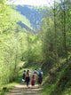 Family Hiking Wall Decal