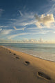 Footsteps On Brighton Beach At Dusk, Barbados Wall Mural