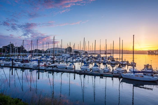 Treasure Island Marina Wall Decal