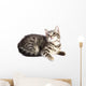 Chat Curieux Wall Decal
