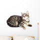 Chat Curieux Wall Decal