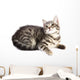 Chat Curieux Wall Decal