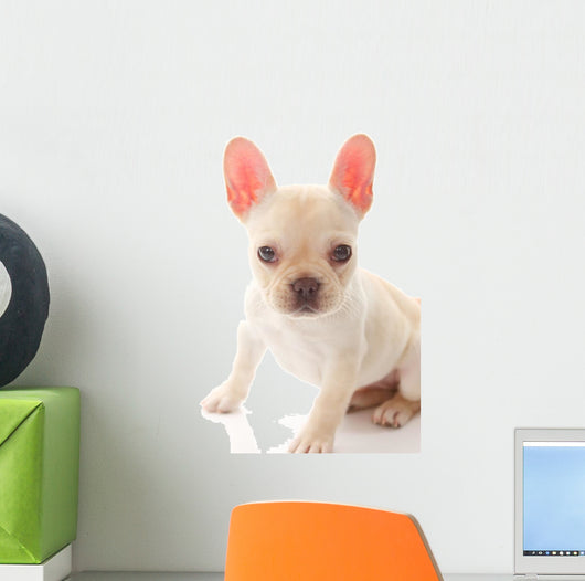 French Bulldog Wall Decal