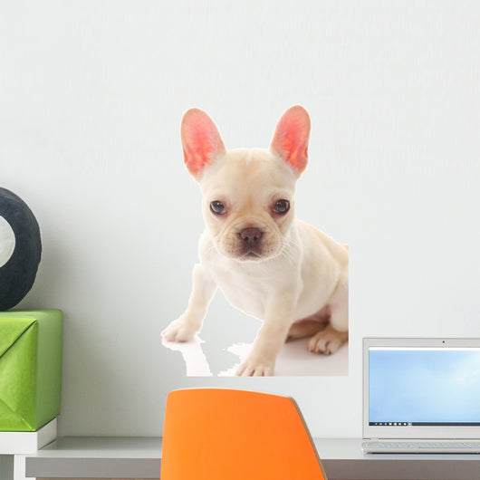French Bulldog Wall Decal