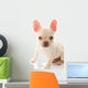 French Bulldog Wall Decal
