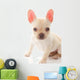 French Bulldog Wall Decal