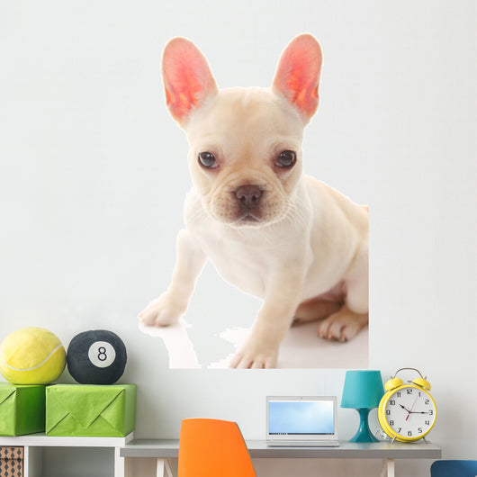 French Bulldog Wall Decal