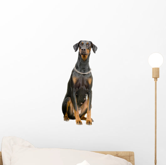 Doberman