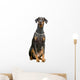 Doberman