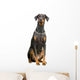 Doberman