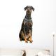 Doberman