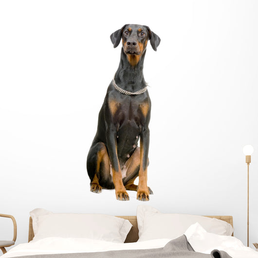 Doberman