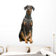 Doberman