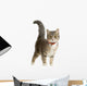European Cat Wall Decal