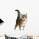 European Cat Wall Decal